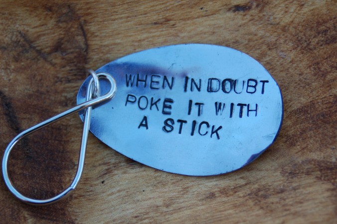 poke it with a stick